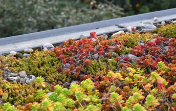 the cost of Old Fletton green roof installation