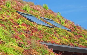 Old Fletton living roof systems