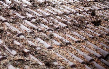 Old Fletton roof cleaning companies